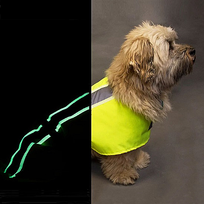 Flecta VizLite Dog Coat (Yellow)